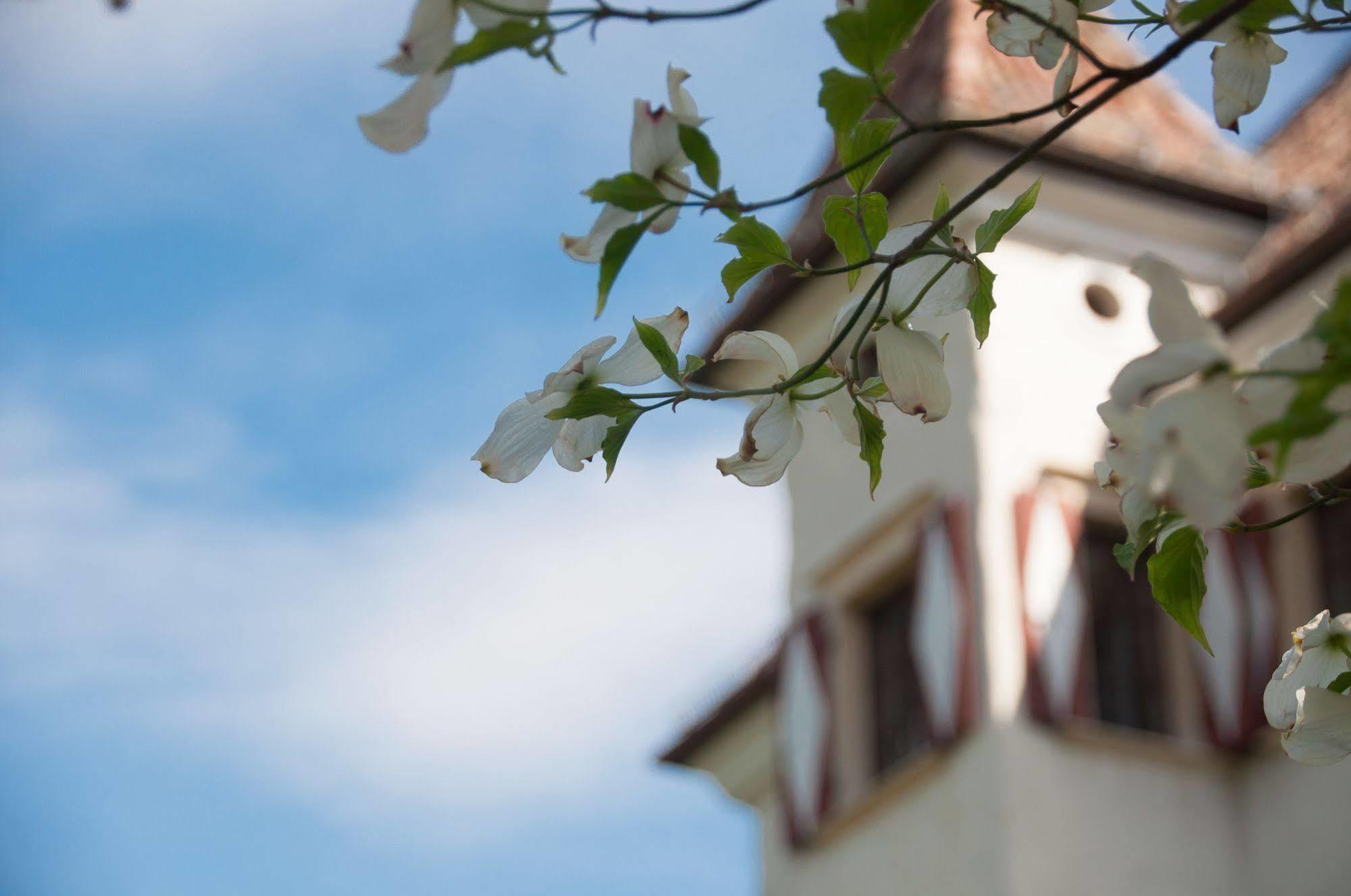 Hotel Castel Rundegg (Adults Only) Мерано Екстериор снимка